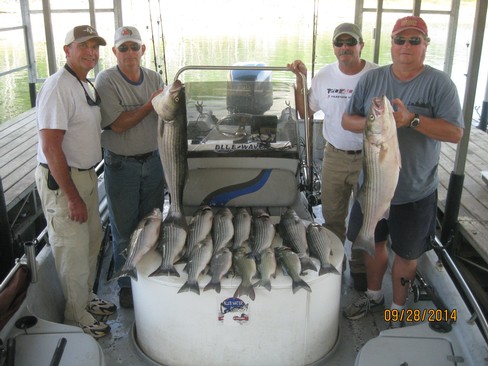 Nice Striped Bass